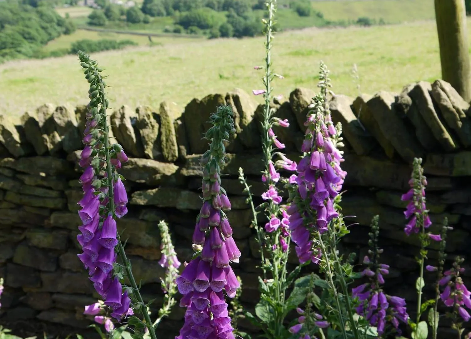 Apartman Room With A View Holmfirth